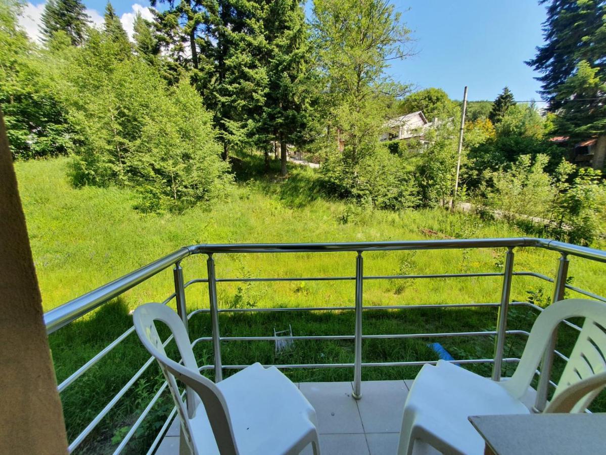 Hotel Green Palace Sinaia Dış mekan fotoğraf